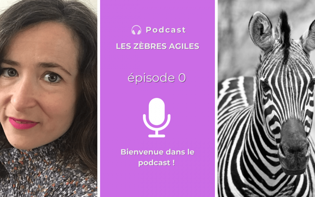 Je lance un podcast et je propose des interviews sur ma chaîne YouTube