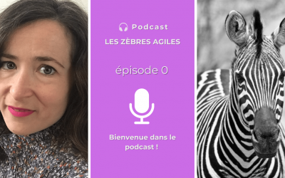 Je lance un podcast et je propose des interviews sur ma chaîne YouTube